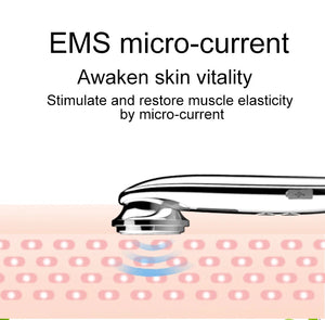 EMS Ion Heating Facial Massager - 3-Color LED, Vibration, Face Lift Beauty & Personal Care Device